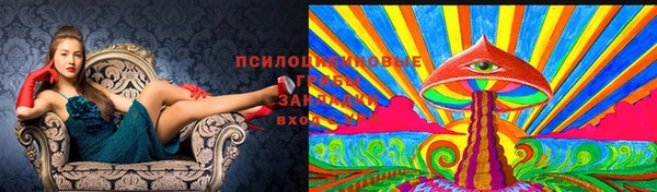 шишки Армянск