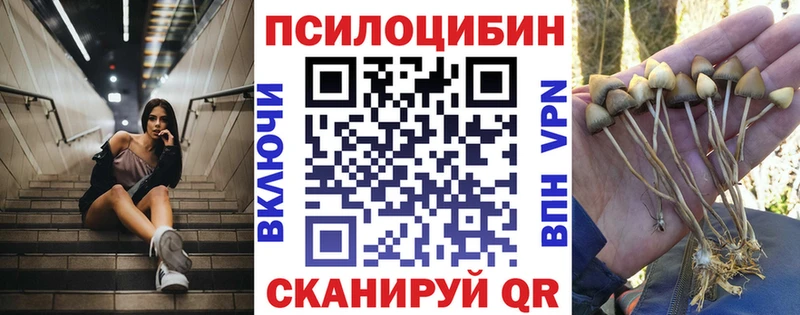Галлюциногенные грибы MAGIC MUSHROOMS  закладка  Лесной 